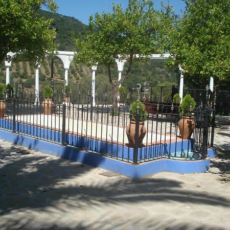 Casa La Rosa P.N. Sierra De Grazalema Vendégház Benamahoma Kültér fotó